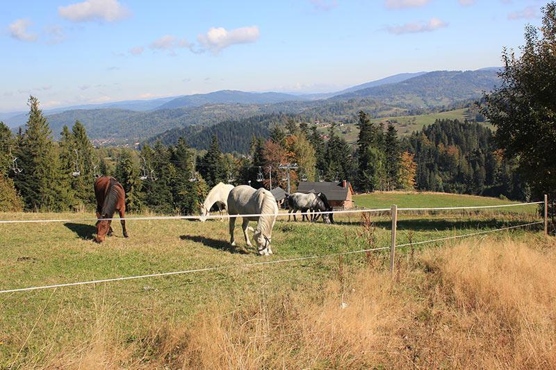 Willa Helvetia Wellness & Spa Korbielow Bagian luar foto
