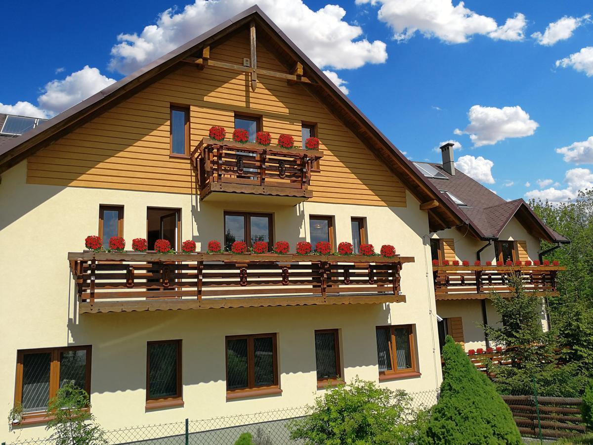 Willa Helvetia Wellness & Spa Korbielow Bagian luar foto